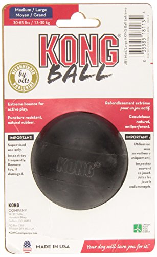 kong extreme ball